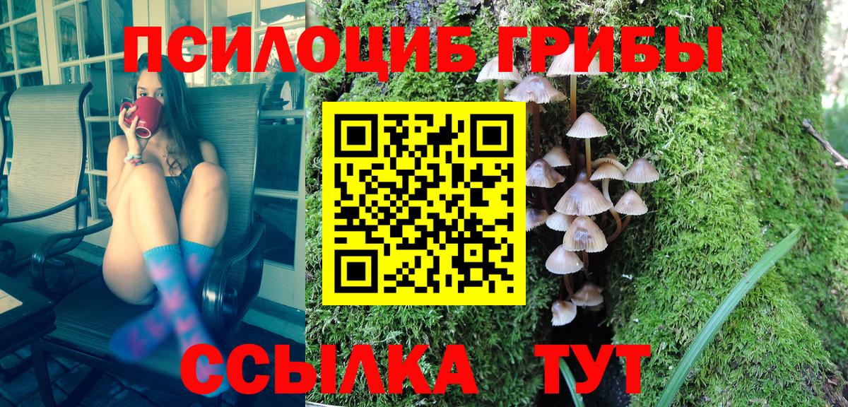 Галлюциногенные грибы Psilocybe  Вход с VPN  Кимры 