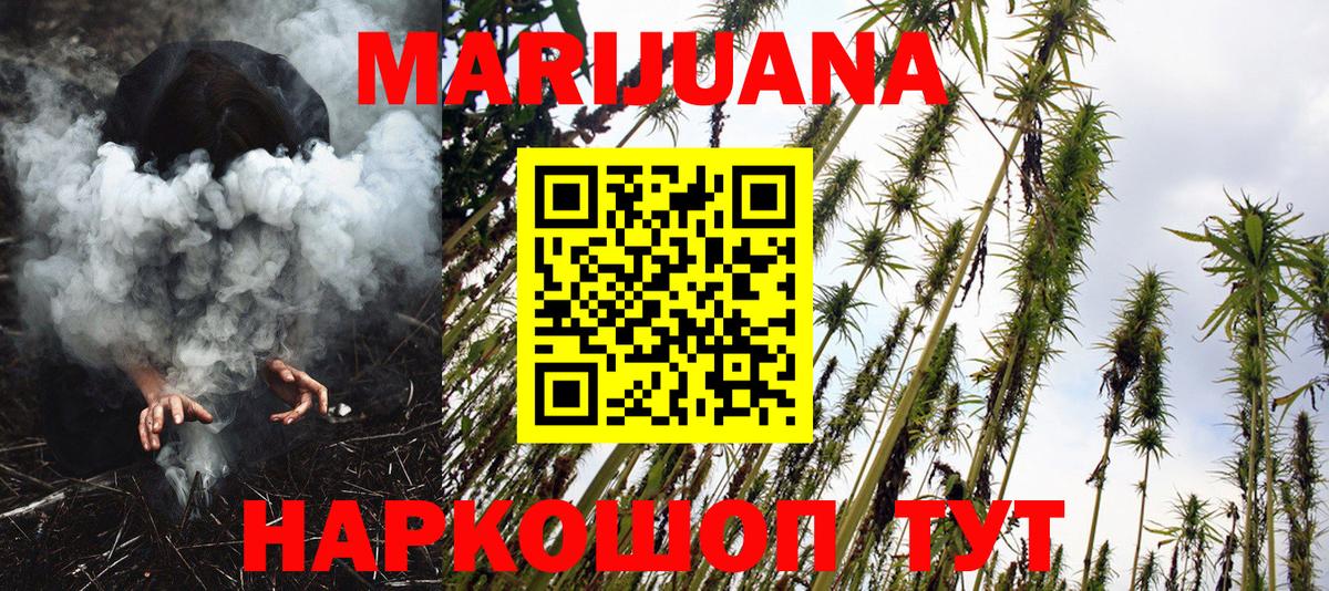 Канабис OG Kush Кимры